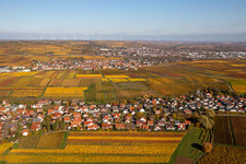 Vue aérienne de Vignes décolorées automnales entre Kleinkarlbach et Sausenheim à Kleinkarlbach dans le département Rhénanie-Palatinat, Allemagne