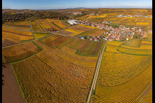 Kleinkarlbach dans le département Rhénanie-Palatinat, Allemagne depuis l'avion