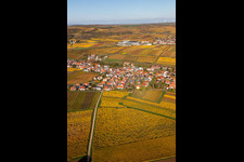 Vue d'oiseau de Kleinkarlbach dans le département Rhénanie-Palatinat, Allemagne
