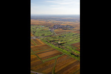 Terrain du parcours de golf Golfgarten de la Route des vins allemande - Dackenheim - GOLF absolute à Dackenheim dans le département Rhénanie-Palatinat, Allemagne vue d'en haut