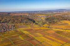 Vue aérienne de Vue sur la végétation décolorée en automne sur les structures des champs agricoles (Palatinat) à Battenberg dans le département Rhénanie-Palatinat, Allemagne