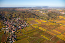 Vue aérienne de Quartier Bobenheim in Bobenheim am Berg dans le département Rhénanie-Palatinat, Allemagne