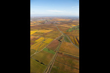 Quartier Jerusalemsberg in Kirchheim an der Weinstraße dans le département Rhénanie-Palatinat, Allemagne depuis l'avion
