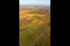 Kleinkarlbach dans le département Rhénanie-Palatinat, Allemagne d'un drone