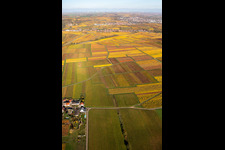 Vue aérienne de Kleinkarlbach dans le département Rhénanie-Palatinat, Allemagne