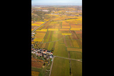 Vue oblique de Kleinkarlbach dans le département Rhénanie-Palatinat, Allemagne
