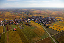 Vue aérienne de Vue sur la végétation automnale décolorée des vignes autour du village vigneron à le quartier Herxheim in Herxheim am Berg dans le département Rhénanie-Palatinat, Allemagne