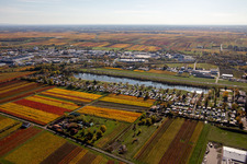 Vue aérienne de Vue sur la végétation automnale décolorée de la piste avec zone de voie de circulation de l'aéroport Bad Dürkheim au Knaus Camping Park et à l'Almensee à le quartier Ungstein in Bad Dürkheim dans le département Rhénanie-Palatinat, Allemagne