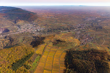 Vue aérienne de Vue aérienne d'automne avec vue sur la plaine du Rhin à l'embouchure de la vallée du Queich entre Birkweiler et Siebeldingen dans le paysage de la vallée du Queich entouré de montagnes à Albersweiler dans le département Rhénanie-Palatinat, Allemagne