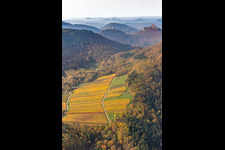 Vue aérienne de Vue aérienne d'automne des châteaux de Trifels, Scharfeneck et Anebos au-dessus de la forêt du Palatinat vue depuis Birnbachtal à Annweiler am Trifels dans le département Rhénanie-Palatinat, Allemagne