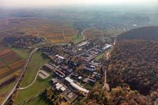 Vue aérienne de Hôpital Palatinat de Psychiatrie à Klingenmünster dans le département Rhénanie-Palatinat, Allemagne