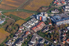 Vue aérienne de Hôpital Landau à Bad Bergzabern dans le département Rhénanie-Palatinat, Allemagne
