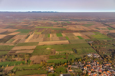 Vue aérienne de Fossé d'inondation entre les vents et Mühlhofen à le quartier Mühlhofen in Billigheim-Ingenheim dans le département Rhénanie-Palatinat, Allemagne