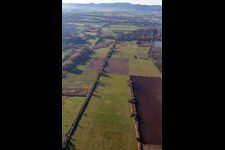 Vue aérienne de Billigheimer Bruch, Erlenbachtal entre Barbelroth, Hergersweiler et Winden à le quartier Mühlhofen in Billigheim-Ingenheim dans le département Rhénanie-Palatinat, Allemagne