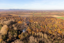 Vue aérienne de Billigheimer Bruch, Erlenbachtal entre Barbelroth, Hergersweiler et Winden à Barbelroth dans le département Rhénanie-Palatinat, Allemagne