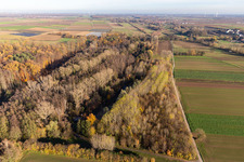 Billigheimer Bruch, Erlenbachtal entre Barbelroth, Hergersweiler et Winden à Barbelroth dans le département Rhénanie-Palatinat, Allemagne hors des airs