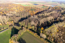 Billigheimer Bruch, Erlenbachtal entre Barbelroth, Hergersweiler et Winden à Barbelroth dans le département Rhénanie-Palatinat, Allemagne vue d'en haut