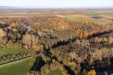 Vue d'oiseau de Billigheimer Bruch, Erlenbachtal entre Barbelroth, Hergersweiler et Winden à Barbelroth dans le département Rhénanie-Palatinat, Allemagne