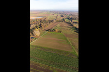 Image drone de Billigheimer Bruch, Erlenbachtal entre Barbelroth, Hergersweiler et Winden à Barbelroth dans le département Rhénanie-Palatinat, Allemagne