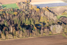 Photographie aérienne de Billigheimer Bruch, Erlenbachtal entre Barbelroth, Hergersweiler et Winden à Barbelroth dans le département Rhénanie-Palatinat, Allemagne