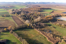 Billigheimer Bruch, Erlenbachtal entre Barbelroth, Hergersweiler et Winden à le quartier Mühlhofen in Billigheim-Ingenheim dans le département Rhénanie-Palatinat, Allemagne vu d'un drone