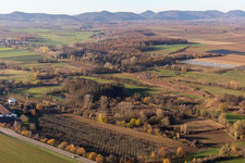 Billigheimer Bruch, Erlenbachtal entre Barbelroth, Hergersweiler et Winden à Winden dans le département Rhénanie-Palatinat, Allemagne vue d'en haut