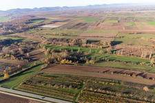 Billigheimer Bruch, Erlenbachtal entre Barbelroth, Hergersweiler et Winden à Hergersweiler dans le département Rhénanie-Palatinat, Allemagne vue du ciel