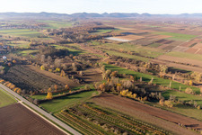 Enregistrement par drone de Billigheimer Bruch, Erlenbachtal entre Barbelroth, Hergersweiler et Winden à Hergersweiler dans le département Rhénanie-Palatinat, Allemagne