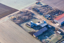 Photographie aérienne de Niederlauterbach dans le département Bas Rhin, France