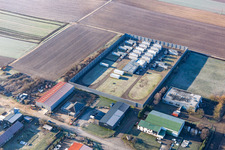 Vue oblique de Niederlauterbach dans le département Bas Rhin, France
