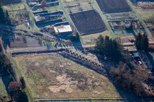Barrière antichar "Hump Line" de la Seconde Guerre mondiale à Steinfeld dans le département Rhénanie-Palatinat, Allemagne d'en haut