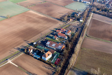 Vue aérienne de Marché frais de Wasgau à Steinfeld dans le département Rhénanie-Palatinat, Allemagne