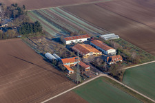 Vue aérienne de Magasin de la ferme Schoßberghof à Minfeld dans le département Rhénanie-Palatinat, Allemagne