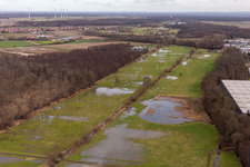 Vue aérienne de Bauerngraben inondé, fossé de crue, Erlenbach à le quartier Minderslachen in Kandel dans le département Rhénanie-Palatinat, Allemagne