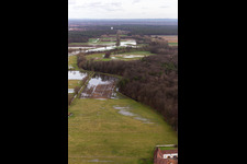 Vue aérienne de Prairies inondées du polder de Neupotz sur le lit de crue du Rhin à Neupotz à Erlenbach bei Kandel dans le département Rhénanie-Palatinat, Allemagne