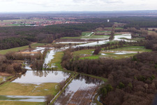 Vue aérienne de Prairies inondées du polder de Neupotz sur le lit de crue du Rhin à Neupotz à Erlenbach bei Kandel dans le département Rhénanie-Palatinat, Allemagne
