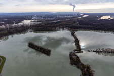 Photographie aérienne de Prairies inondées du polder de Neupotz sur le lit de crue du Rhin à Neupotz à Wörth am Rhein dans le département Rhénanie-Palatinat, Allemagne