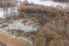 Vue aérienne de Plaines inondables du Rhin inondées à Neupotz dans le département Rhénanie-Palatinat, Allemagne