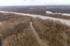 Vue aérienne de Plaines inondées du Rhin au niveau des gorges à Neupotz dans le département Rhénanie-Palatinat, Allemagne