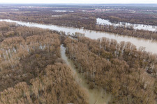 Vue aérienne de Plaines inondées du Rhin au niveau des gorges à Neupotz dans le département Rhénanie-Palatinat, Allemagne