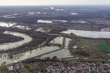 Vue aérienne de Hagenbacher Altrhein devant l'île de Nauas lors d'une inondation à le quartier Maximiliansau in Wörth am Rhein dans le département Rhénanie-Palatinat, Allemagne