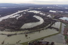 Vue aérienne de Hagenbacher Altrhein devant l'île de Nauas avec de l'or lors des crues du Rhin à le quartier Maximiliansau in Wörth am Rhein dans le département Rhénanie-Palatinat, Allemagne