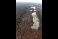 Vue aérienne de Zone forestière de Bienwald avec terrain sous l'Otterbach avec prairies inondées sur l'A65 à Kandel dans le département Rhénanie-Palatinat, Allemagne