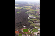 Vue aérienne de Terrain avec prairies inondées entre Floßgraben et Dörniggraben sur Saarstr à Kandel dans le département Rhénanie-Palatinat, Allemagne