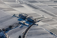 Photographie aérienne de Hiver enneigé " Leinsweiler mètre à Leinsweiler dans le département Rhénanie-Palatinat, Allemagne