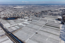 Vue aérienne de Vue aérienne d'hiver dans la neige avec un étang de château à Kirrweiler dans le département Rhénanie-Palatinat, Allemagne