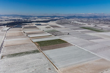 Vue aérienne de Vue aérienne d'hiver dans la neige à Billigheim-Ingenheim dans le département Rhénanie-Palatinat, Allemagne
