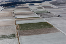 Vue aérienne de Vue aérienne d'hiver dans la neige à Billigheim-Ingenheim dans le département Rhénanie-Palatinat, Allemagne