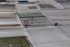 Vue aérienne de Vue aérienne d'hiver dans la neige à Billigheim-Ingenheim dans le département Rhénanie-Palatinat, Allemagne