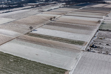 Vue aérienne de Vue aérienne d'hiver dans la neige à Billigheim-Ingenheim dans le département Rhénanie-Palatinat, Allemagne
